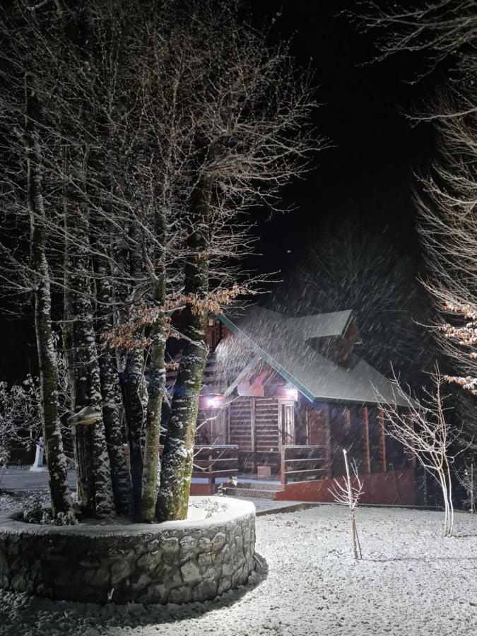 فيلا Vikendica Crkvina Kolašin المظهر الخارجي الصورة