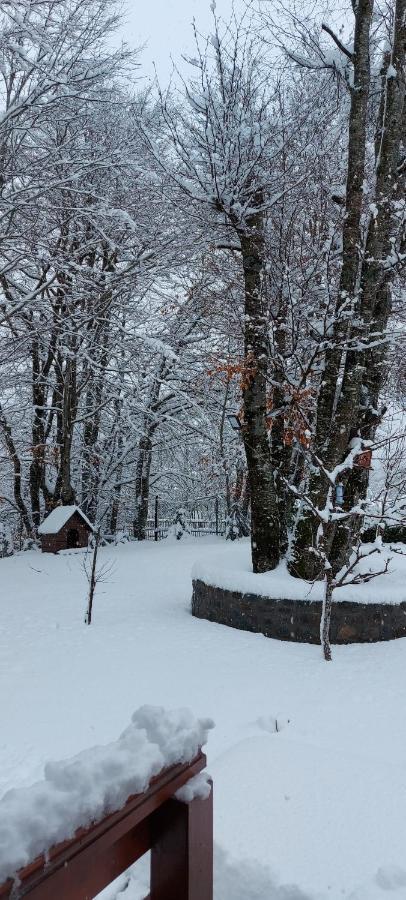 فيلا Vikendica Crkvina Kolašin المظهر الخارجي الصورة