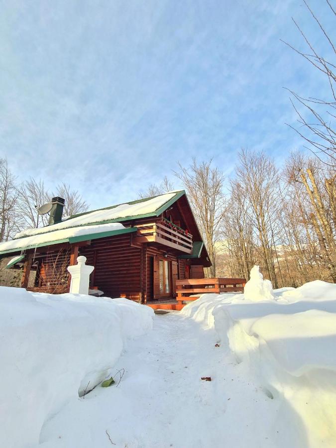 فيلا Vikendica Crkvina Kolašin المظهر الخارجي الصورة